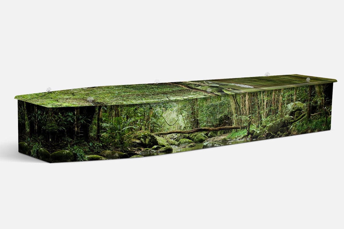 Daintree V1 coffin