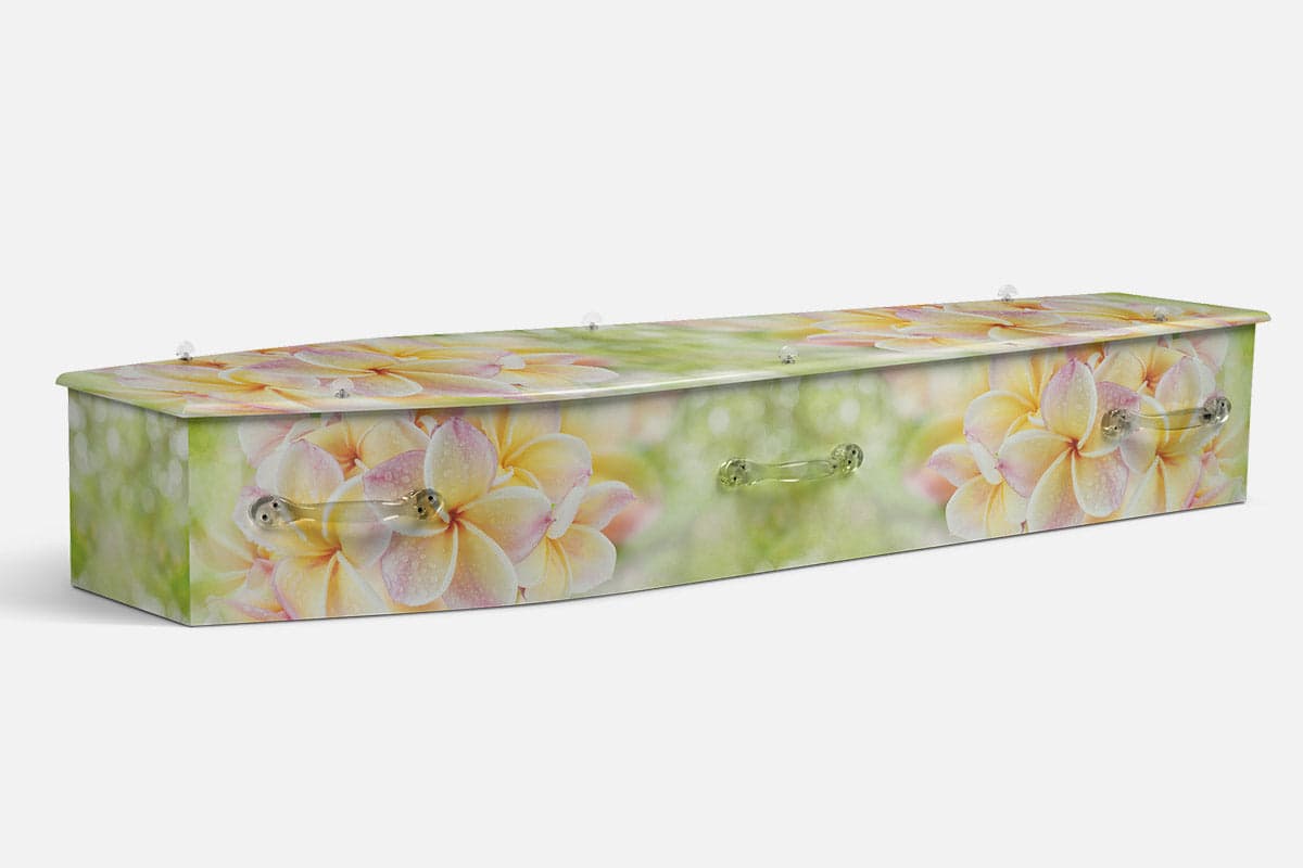 Frangipani Dream coffin