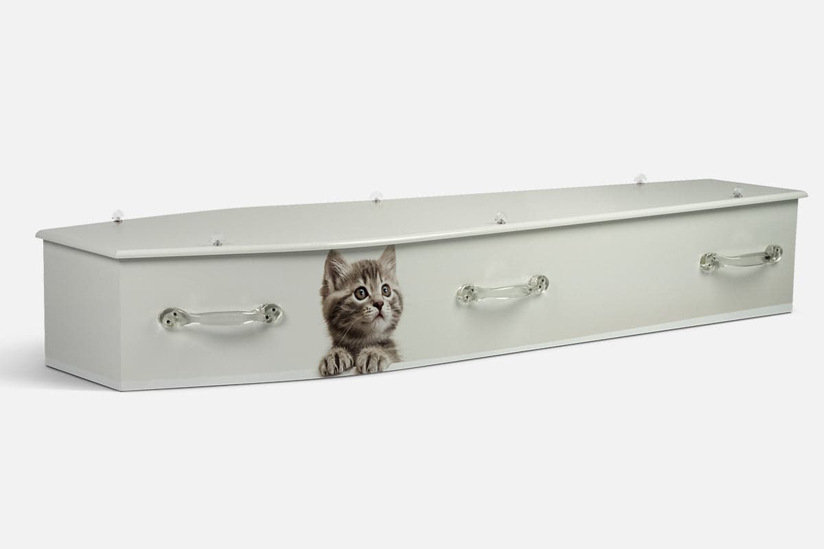 Kittens personalised coffin by Lifestyle Coffins