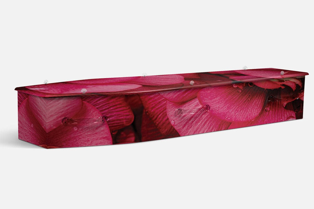 Rose Radiance coffin