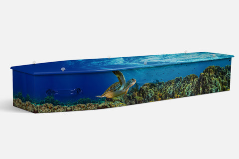 Aquatic Kingdom