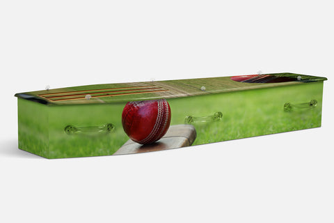 Cricket V1