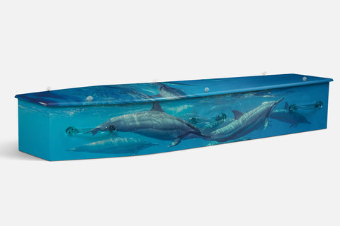 Dolphins V1