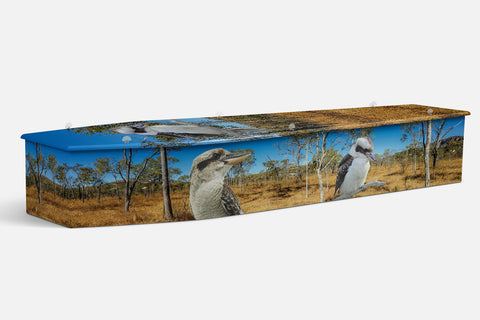 Kookaburra