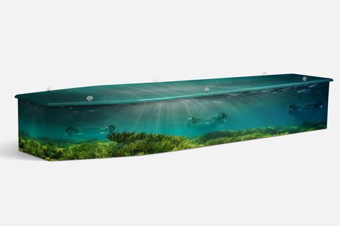 Ocean Floor