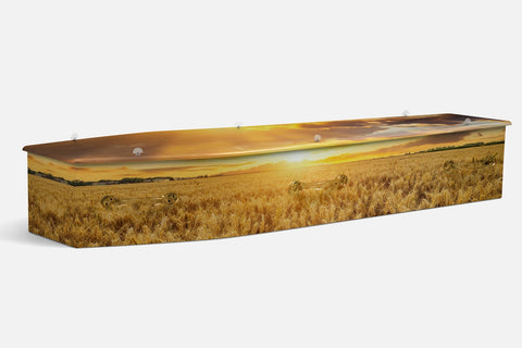 Wheat Sunset