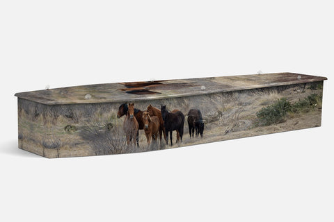 Wild Brumby