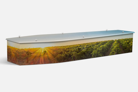Barossa Valley