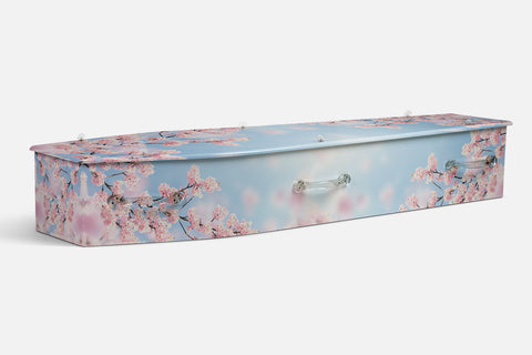Cherry Blossom