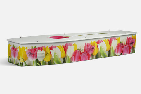 Colourful Tulips