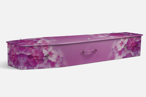 Flox Pink
