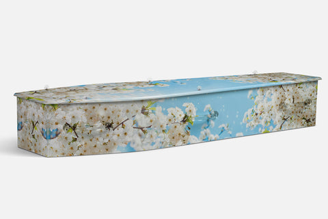 Heavenly Blossom