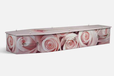 Pink Roses