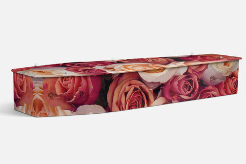 Rose Melody