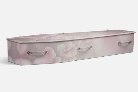 Sakura Blossom