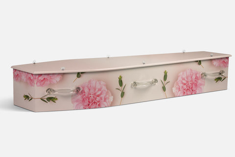 Springtime Carnation